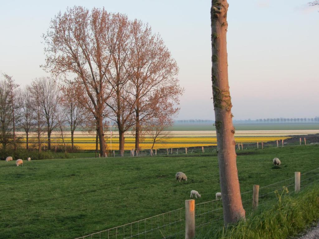 Bed & Breakfast In Het Fruit Zuidoostbeemster